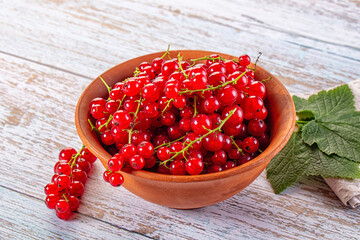 Raw ripe sweet juicy red currant