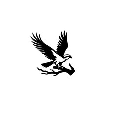 Fototapeta premium A silhouette of an eagle perched on a branch art