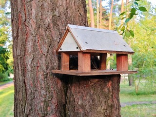 Wooden bird feeder and sparrow Bird feeder, wooden bird house, feeding for birds