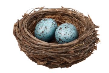 Two light teal speckled eggs nestled in a rustic bird's nest