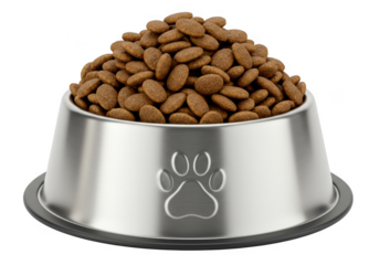 A full silver metal dog bowl filled with dry kibble dog food isolated on transparent background