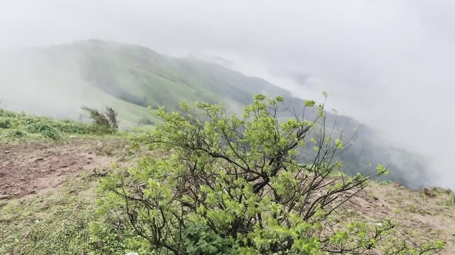 Rolling green mountains of Devarmane, Malnad, Karnataka during monsoon. Rain clouds sweep swiftly overhead, capturing the serene and dramatic beauty of the Western Ghats.