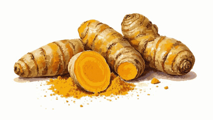 Spice Spectrum: Roots & Powder Turmeric Roots and Powder isolated watercolor vector illustration svg
