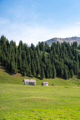 Two small, rustic houses nestled at the edge of a dense pine forest, with majestic mountains rising behind them in a green valley