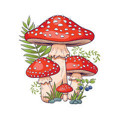 Mushrooms with red caps, toadstools in a forest clearing with plants and herbs. A group of mushrooms