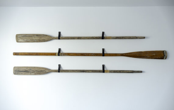 View of three weathered oars, two pale and one burnished, mounted as rustic art against a stark white wall, evoking nautical memories, Kingsbridge, England, United Kingdom.