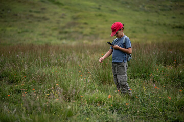 Young hiker exploring nature using smartphone for plant identification