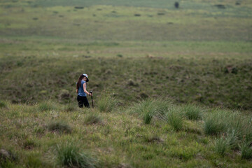 Female hiker walking on green meadow using trekking poles