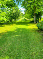 Lush green path surrounded by vibrant trees in a tranquil outdoor setting, showcasing nature's beauty on a sunny day, ideal for leisure activities or relaxation.