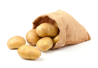 Fresh potatoes in burlap sack isolated on white background.