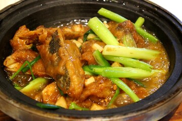 Clay Pot Braised Fish with Green Onion
Title: Braised fish with tofu and green onion in savory clay pot sauce, Chinese traditional dish