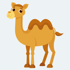 Cute camel isolate 
