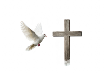 A white dove flies toward a wooden cross, symbolizing peace and faith, isolated on transparent background