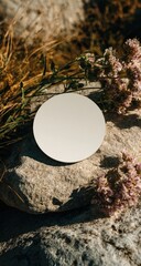 Blank circle on rocks, surrounded by dried grasses and flowers