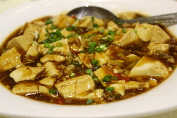 Soft tofu cubes in rich soy garlic sauce with minced pork and spring onion