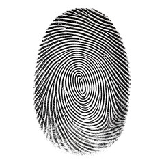 Fingerprint Detail Isolated: Unique Identification Mark
