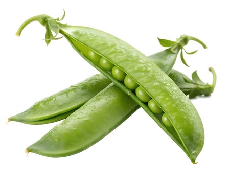 Fresh Sugar Snap Peas Isolated: Green Crunchy Pods