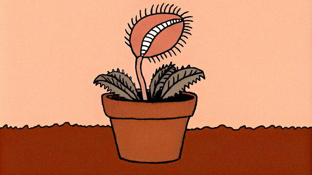 Potted Venus flytrap plant, hand-drawn with bold lines and earthy tones. Simplistic yet captivating design suitable for showcasing botany-themed illustrations or unique decorative artwork.