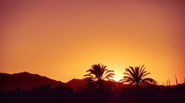 Minimalistic mountain landscape during sunset. Silhouettes of palm trees against the background of mountains at sunset