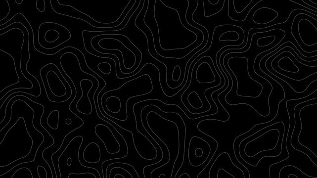 Topographic Contour Map Animation | White Lines on Black Background | 4K Loop