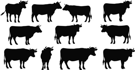 Cow silhouette collection, Bos taurus farm animal vector icons, black dairy and beef cattle silhouettes, livestock clipart set.