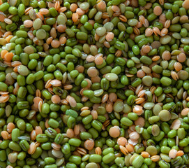 Mung beans and lentils.