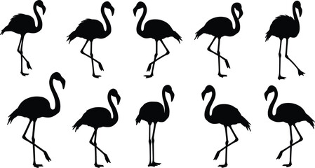 Flamingo Silhouette Vector Set – Tropical Bird Clipart Collection with Different Poses for Design, Decoration, and Branding