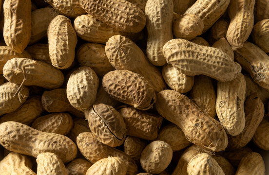 Lots of  Arachis hypogaea peanuts