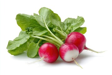 Radish isolated on white background