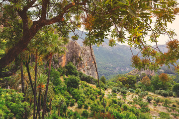 Fototapeta premium Beautiful mountain valley. Beautiful nature in Guadalest Valley, Alicante, Spain, Europe