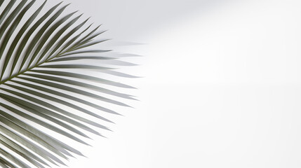 Fond composé d'un mur blanc, avec lumière et ombre de la branche d'une plante. Ambiance calme, épurée, luxe. Arrière-plan pour conception et création graphique.	