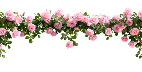 Decorative Rose Arch Garland – Pink Blooms and Leaves Isolated PNG with Transparent Background
