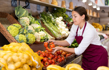 Positive skilled young female seller in apron laying out fresh ripe tomatoes in wicker box on...