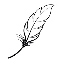 Fototapeta premium Minimal Single-Line Feather Vector Illustration in Black on White Background