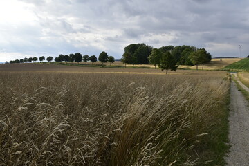 Landschaft und Ausblick zwischen Hildesheim und Salzgitter