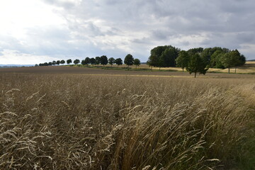 Landschaft und Ausblick zwischen Hildesheim und Salzgitter