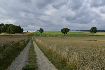 Landschaft und Ausblick zwischen Hildesheim und Salzgitter