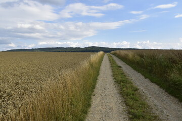 Landschaft und Ausblick zwischen Hildesheim und Salzgitter