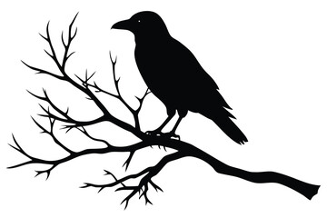 Obraz premium Silhouette of a Raven Perched on a Bare Tree Branch Against White Background