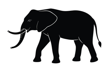 Fototapeta premium Silhouette of a Walking Elephant with Curved Tusks Isolated on White Background