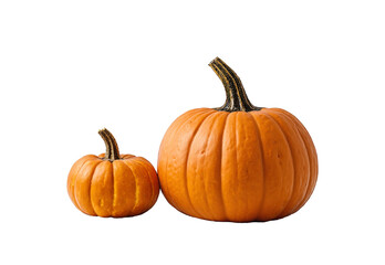 isolated orange raw pumpkin
