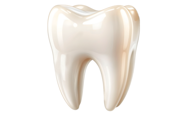 tooth isolated on white background