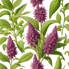 closeup of vibrant purple flowers with green leaves captured in artistic botanical
