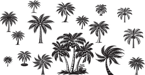 Obraz premium Collection of Black and White Vintage Style Palm Trees; Tropical, Summer, Silhouette Illustrations
