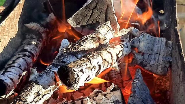 Close-up of burning firewood on barbecue outdoors in sunny weather.