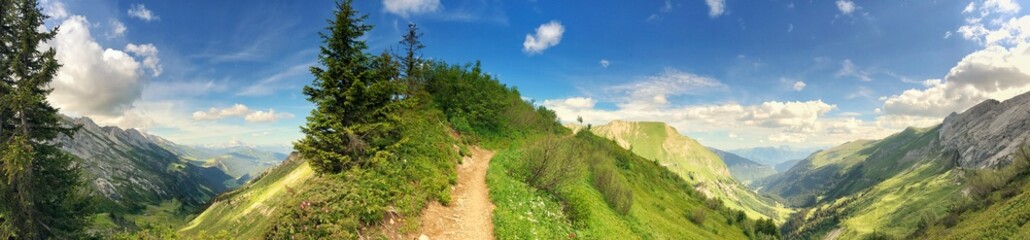 Panoramic view of scenic mountain path under vibrant sky and lush greenery