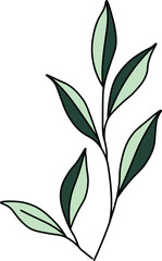  Minimalist Botanical Line Art Illustration