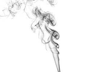 Abstract swirls of black smoke dance against a stark transparent background