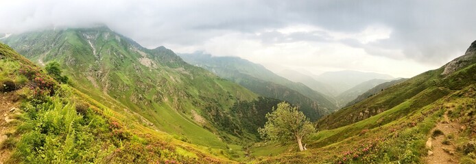 Panoramic view of lush green hills and valleys under a cloudy sky