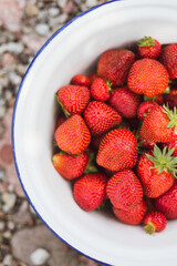 Red ripe strawberries in a big white bowl at a garden. Top view